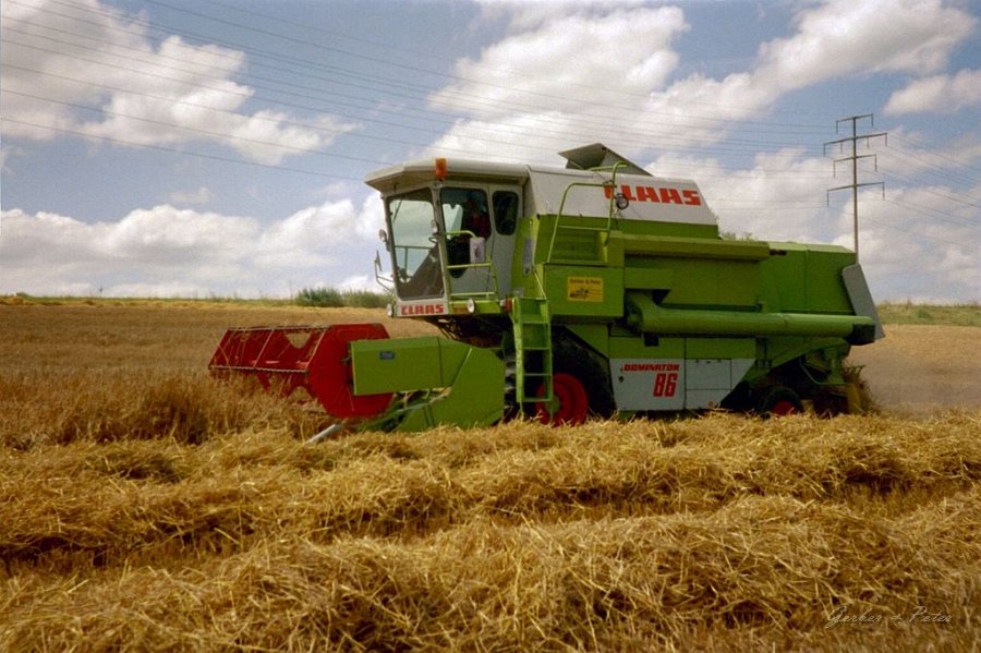 Claas Drescher 17
